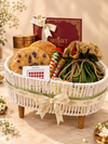 The Ivory Basket